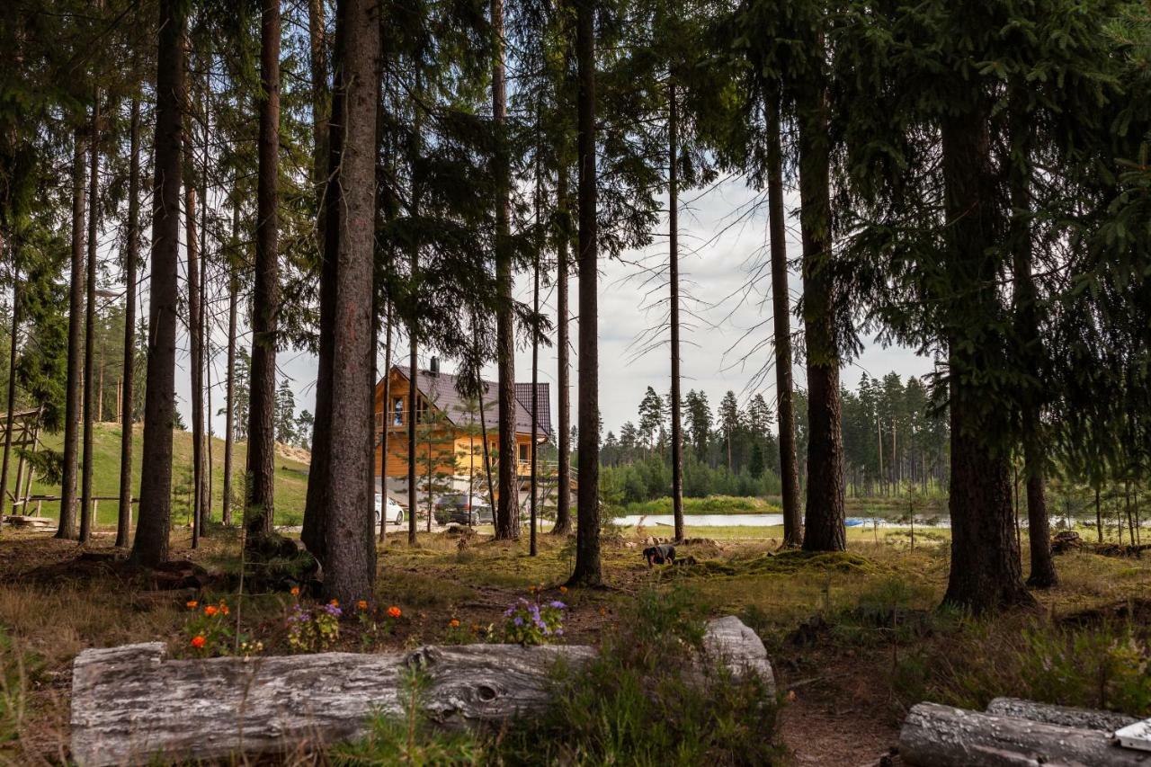 Metsjaerve Apartment Polva
